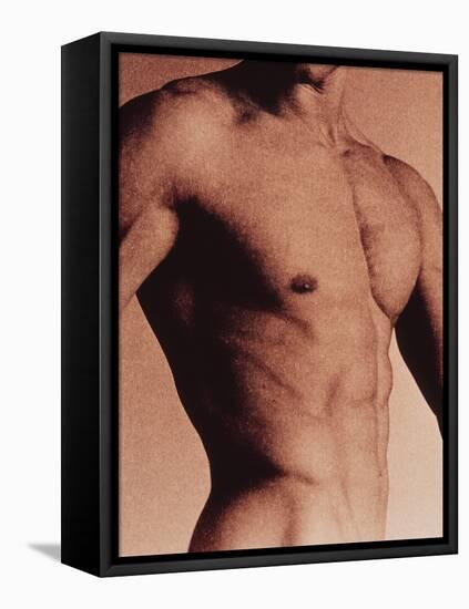 Man's Torso-Cristina-Framed Premier Image Canvas