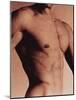 Man's Torso-Cristina-Mounted Photographic Print