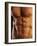 Man's Torso-Chris Trotman-Framed Photographic Print