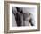 Man's Upper Body-Cristina-Framed Photographic Print