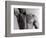 Man's Upper Body-Cristina-Framed Photographic Print