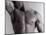 Man's Upper Body-Cristina-Mounted Photographic Print