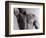 Man's Upper Body-Cristina-Framed Photographic Print