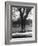 Man Sitting on a Bench and Reading a Newspaper in the Park-Cornell Capa-Framed Photographic Print