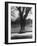 Man Sitting on a Bench and Reading a Newspaper in the Park-Cornell Capa-Framed Photographic Print