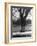 Man Sitting on a Bench and Reading a Newspaper in the Park-Cornell Capa-Framed Photographic Print