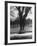 Man Sitting on a Bench and Reading a Newspaper in the Park-Cornell Capa-Framed Photographic Print