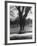 Man Sitting on a Bench and Reading a Newspaper in the Park-Cornell Capa-Framed Photographic Print