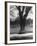 Man Sitting on a Bench and Reading a Newspaper in the Park-Cornell Capa-Framed Photographic Print