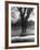 Man Sitting on a Bench and Reading a Newspaper in the Park-Cornell Capa-Framed Photographic Print