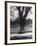 Man Sitting on a Bench and Reading a Newspaper in the Park-Cornell Capa-Framed Photographic Print