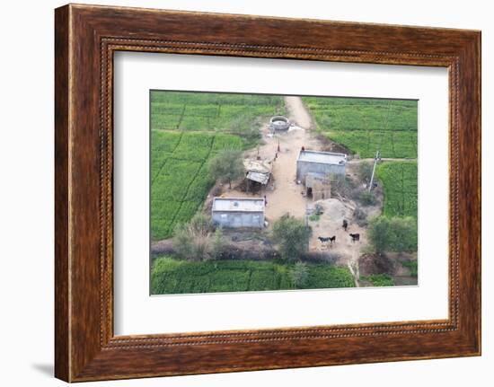 Man Sitting on House Roof in Tiny Agricultural Hamlet Amidst Fields of Vegetables, Rajasthan, India-Annie Owen-Framed Photographic Print