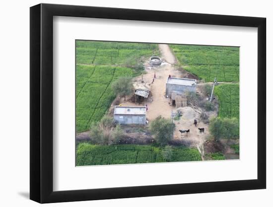 Man Sitting on House Roof in Tiny Agricultural Hamlet Amidst Fields of Vegetables, Rajasthan, India-Annie Owen-Framed Photographic Print