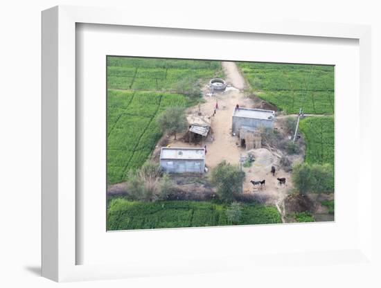 Man Sitting on House Roof in Tiny Agricultural Hamlet Amidst Fields of Vegetables, Rajasthan, India-Annie Owen-Framed Photographic Print