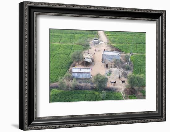 Man Sitting on House Roof in Tiny Agricultural Hamlet Amidst Fields of Vegetables, Rajasthan, India-Annie Owen-Framed Photographic Print