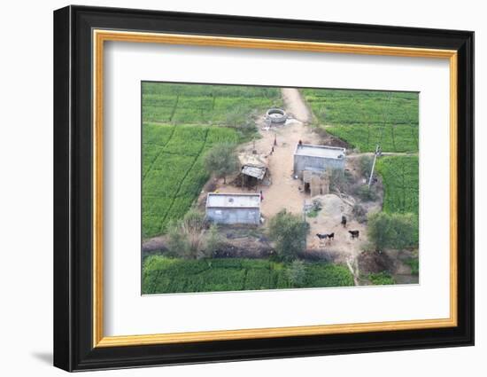 Man Sitting on House Roof in Tiny Agricultural Hamlet Amidst Fields of Vegetables, Rajasthan, India-Annie Owen-Framed Photographic Print