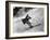 Man Skiing-null-Framed Photo