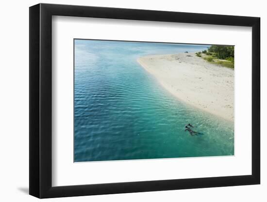 Man snorkeling in the beautiful lagoon of Ouvea, Loyalty Islands, New Caledonia, Pacific-Michael Runkel-Framed Photographic Print