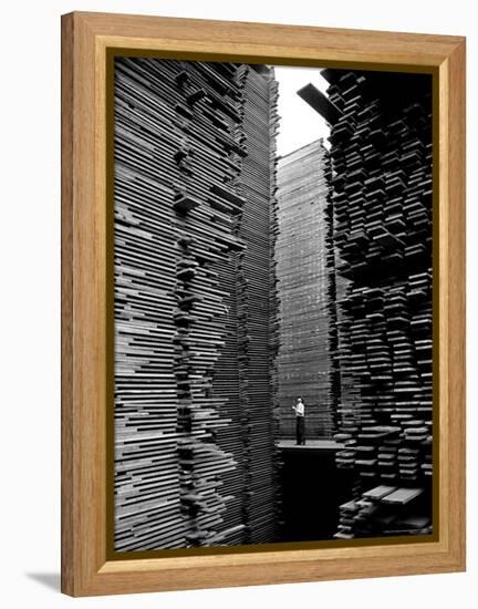 Man Standing in the Lumberyard of Seattle Cedar Lumber Manufacturing-Alfred Eisenstaedt-Framed Premier Image Canvas