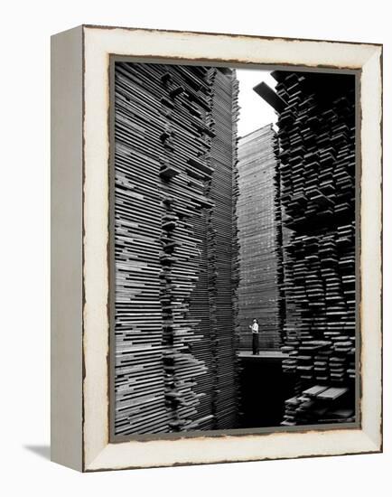 Man Standing in the Lumberyard of Seattle Cedar Lumber Manufacturing-Alfred Eisenstaedt-Framed Premier Image Canvas