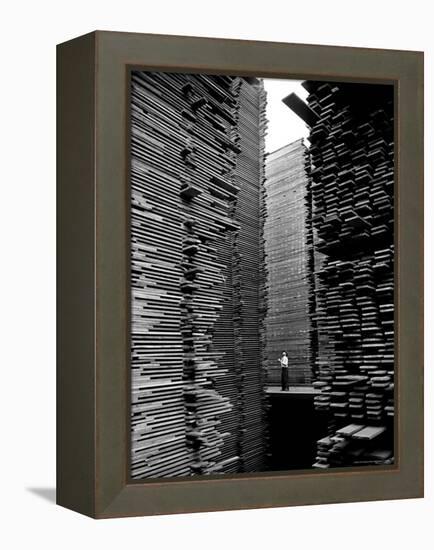 Man Standing in the Lumberyard of Seattle Cedar Lumber Manufacturing-Alfred Eisenstaedt-Framed Premier Image Canvas