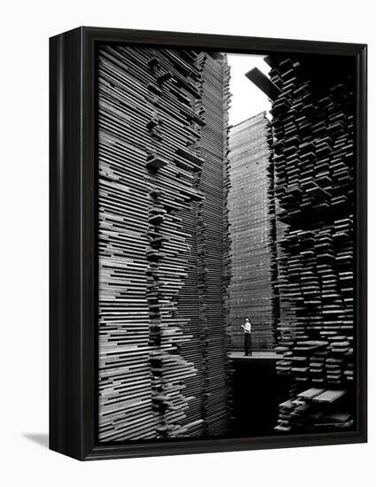 Man Standing in the Lumberyard of Seattle Cedar Lumber Manufacturing-Alfred Eisenstaedt-Framed Premier Image Canvas