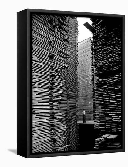 Man Standing in the Lumberyard of Seattle Cedar Lumber Manufacturing-Alfred Eisenstaedt-Framed Premier Image Canvas