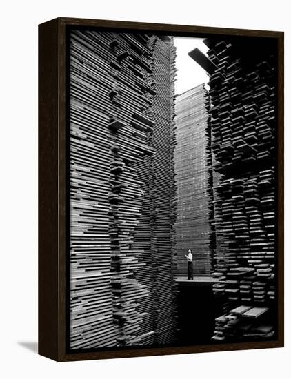 Man Standing in the Lumberyard of Seattle Cedar Lumber Manufacturing-Alfred Eisenstaedt-Framed Premier Image Canvas