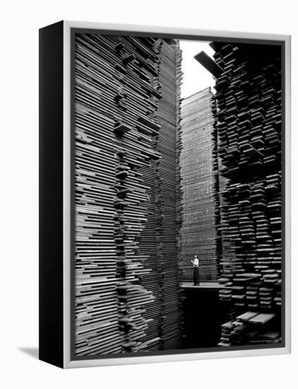 Man Standing in the Lumberyard of Seattle Cedar Lumber Manufacturing-Alfred Eisenstaedt-Framed Premier Image Canvas