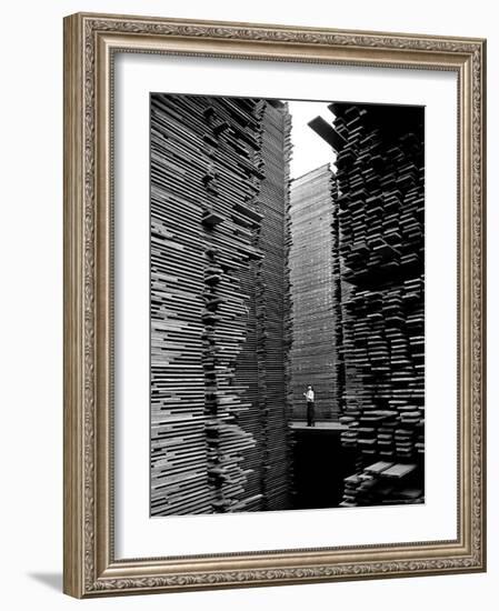 Man Standing in the Lumberyard of Seattle Cedar Lumber Manufacturing-Alfred Eisenstaedt-Framed Premium Photographic Print