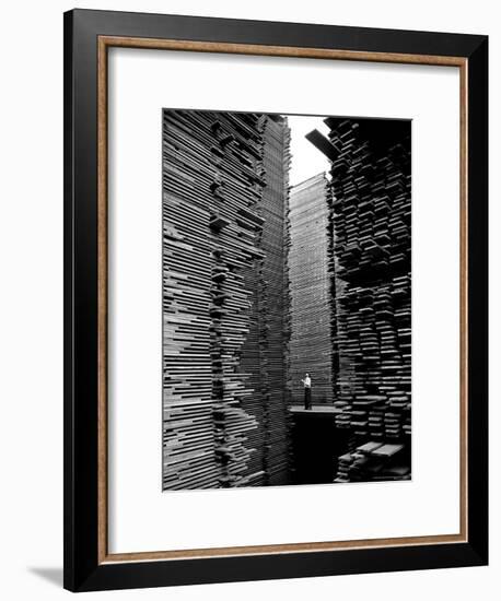 Man Standing in the Lumberyard of Seattle Cedar Lumber Manufacturing-Alfred Eisenstaedt-Framed Premium Photographic Print