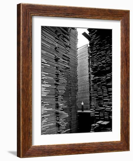 Man Standing in the Lumberyard of Seattle Cedar Lumber Manufacturing-Alfred Eisenstaedt-Framed Premium Photographic Print