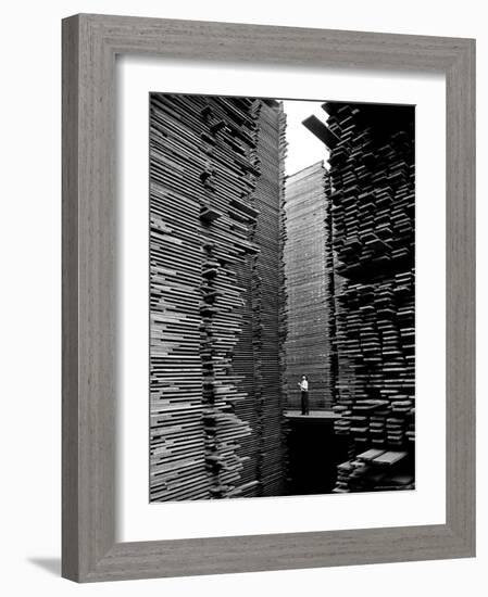 Man Standing in the Lumberyard of Seattle Cedar Lumber Manufacturing-Alfred Eisenstaedt-Framed Photographic Print