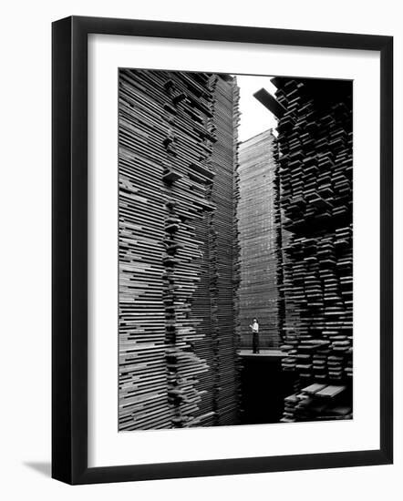 Man Standing in the Lumberyard of Seattle Cedar Lumber Manufacturing-Alfred Eisenstaedt-Framed Photographic Print