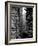 Man Standing in the Lumberyard of Seattle Cedar Lumber Manufacturing-Alfred Eisenstaedt-Framed Photographic Print