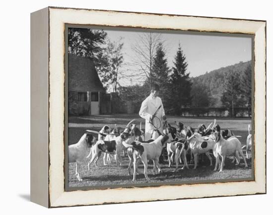 Man Standing with Group of Hounds at Rolling Rock Fox Hunt-Thomas D^ Mcavoy-Framed Premier Image Canvas