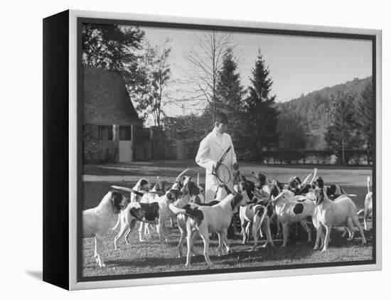 Man Standing with Group of Hounds at Rolling Rock Fox Hunt-Thomas D^ Mcavoy-Framed Premier Image Canvas