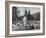 Man Standing with Group of Hounds at Rolling Rock Fox Hunt-Thomas D^ Mcavoy-Framed Photographic Print