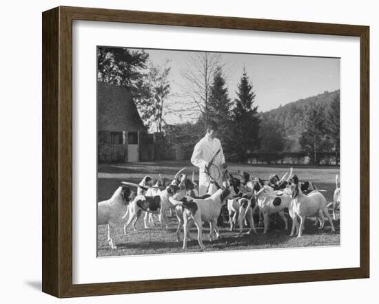 Man Standing with Group of Hounds at Rolling Rock Fox Hunt-Thomas D^ Mcavoy-Framed Photographic Print