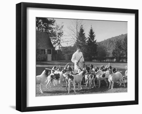 Man Standing with Group of Hounds at Rolling Rock Fox Hunt-Thomas D^ Mcavoy-Framed Photographic Print