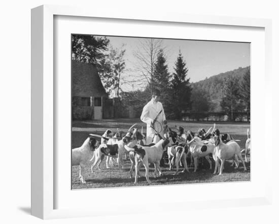 Man Standing with Group of Hounds at Rolling Rock Fox Hunt-Thomas D^ Mcavoy-Framed Photographic Print