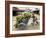 Man Transporting Bananas on Cyclo, Hue, Vietnam, Indochina, Southeast Asia, Asia-Colin Brynn-Framed Photographic Print