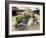Man Transporting Bananas on Cyclo, Hue, Vietnam, Indochina, Southeast Asia, Asia-Colin Brynn-Framed Photographic Print
