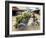 Man Transporting Bananas on Cyclo, Hue, Vietnam, Indochina, Southeast Asia, Asia-Colin Brynn-Framed Photographic Print