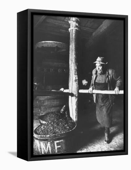 Man Using Old Wine Press at Vaux En Beauiplais Vineyard-Carlo Bavagnoli-Framed Premier Image Canvas