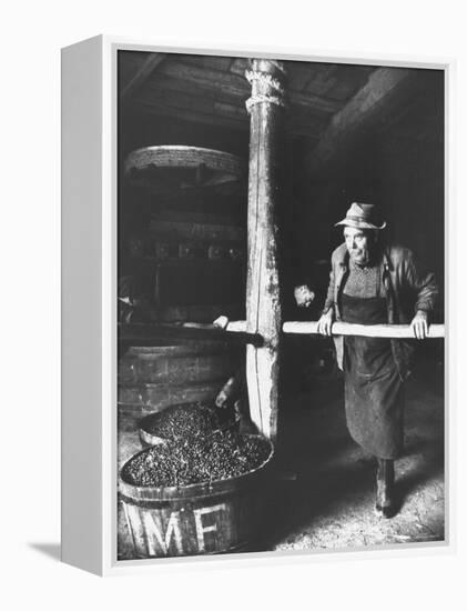 Man Using Old Wine Press at Vaux En Beauiplais Vineyard-Carlo Bavagnoli-Framed Premier Image Canvas