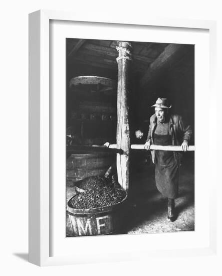 Man Using Old Wine Press at Vaux En Beauiplais Vineyard-Carlo Bavagnoli-Framed Photographic Print