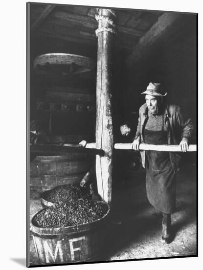 Man Using Old Wine Press at Vaux En Beauiplais Vineyard-Carlo Bavagnoli-Mounted Photographic Print