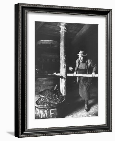 Man Using Old Wine Press at Vaux En Beauiplais Vineyard-Carlo Bavagnoli-Framed Photographic Print