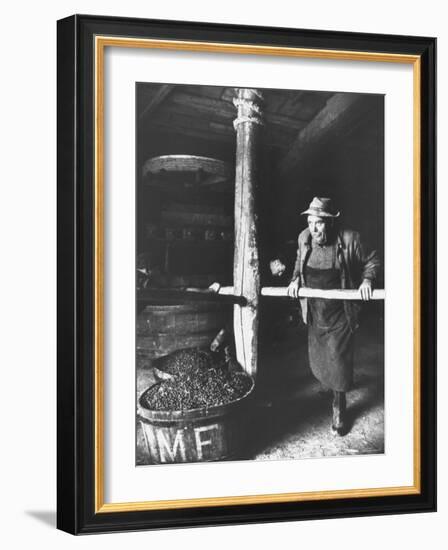 Man Using Old Wine Press at Vaux En Beauiplais Vineyard-Carlo Bavagnoli-Framed Photographic Print